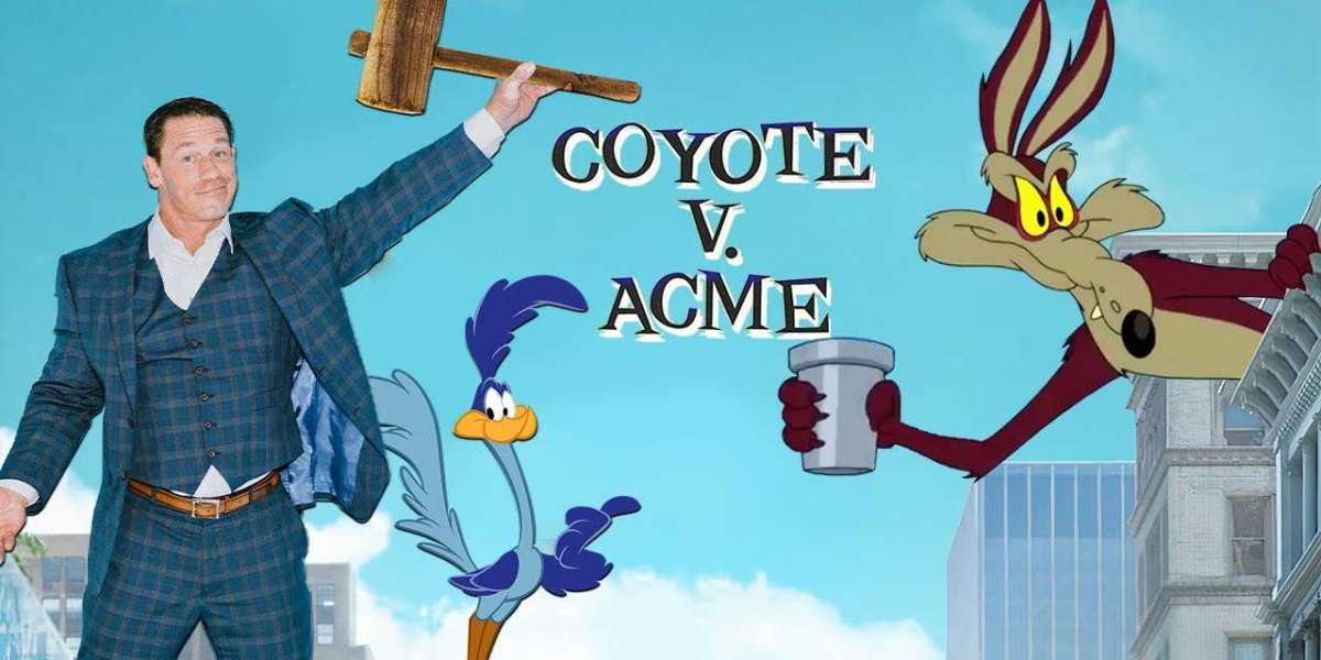 Sinopsis  Coyote vs Acme