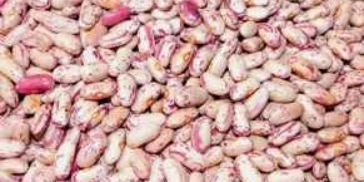 Beans Lower Cholesterol and More Advantages