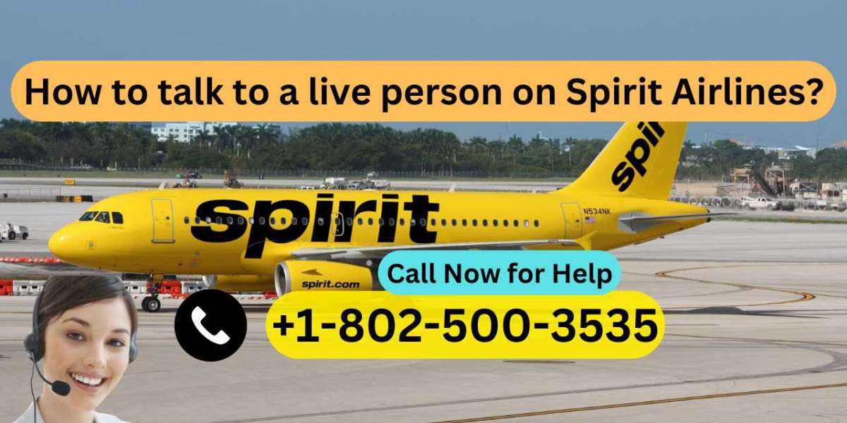 How to talk to a live person on Spirit Airlines?