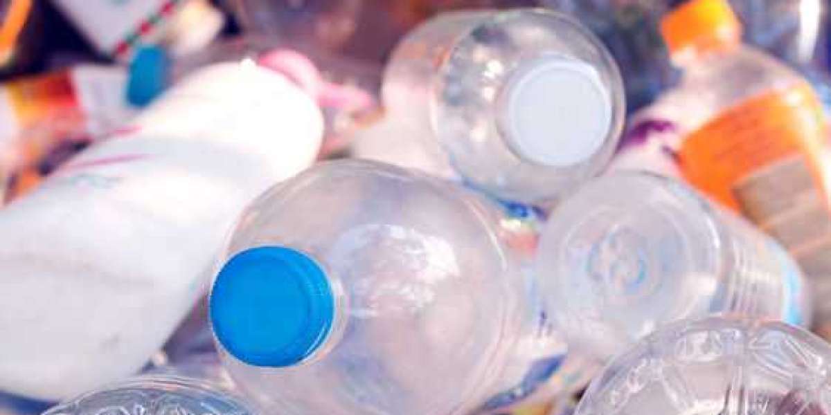 Biodegradable Water Bottle for Travel Market Size, Industry share and Forecast by 2028