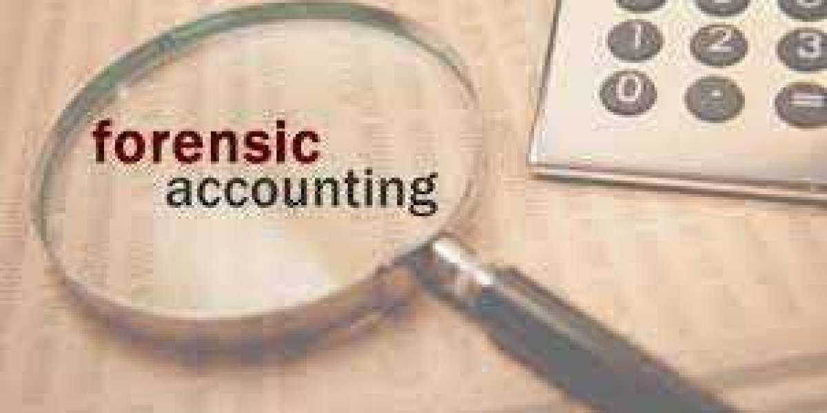 Forensic Accounting Market Future Estimations and Key Industry Segments Poised for Strong Growth in Future 2030