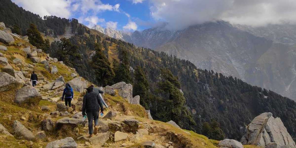 The Ultimate Guide to Conquering the Triund Trek in Mcleodganj