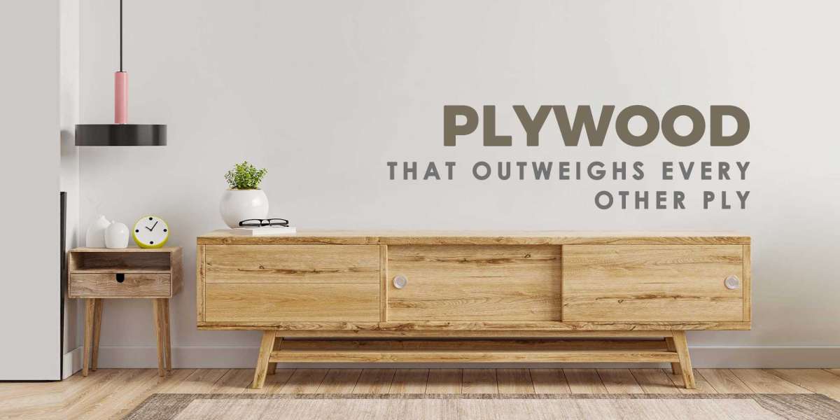 Plywood Manufacturer In Haryana | Top Tree