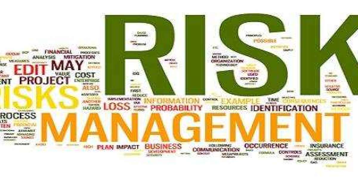 Risk Management Assignment Help Services