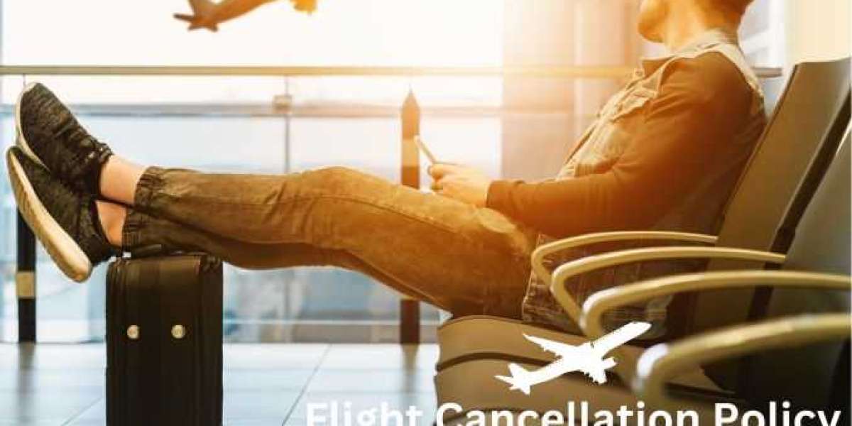What is Spirit 24 Hour Cancellation Policy?