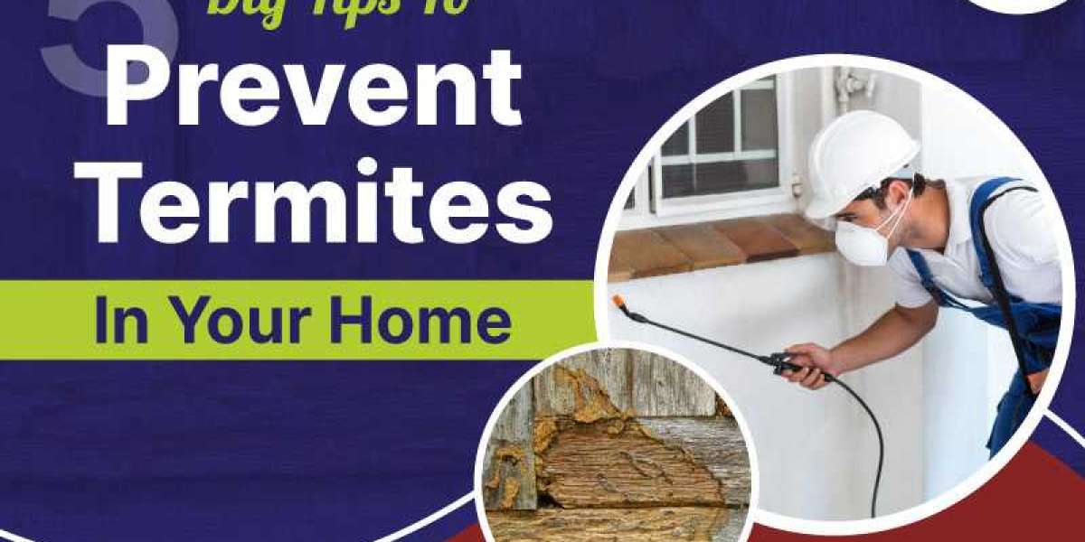 5 Diy Tips To Prevent Termites In Your Home