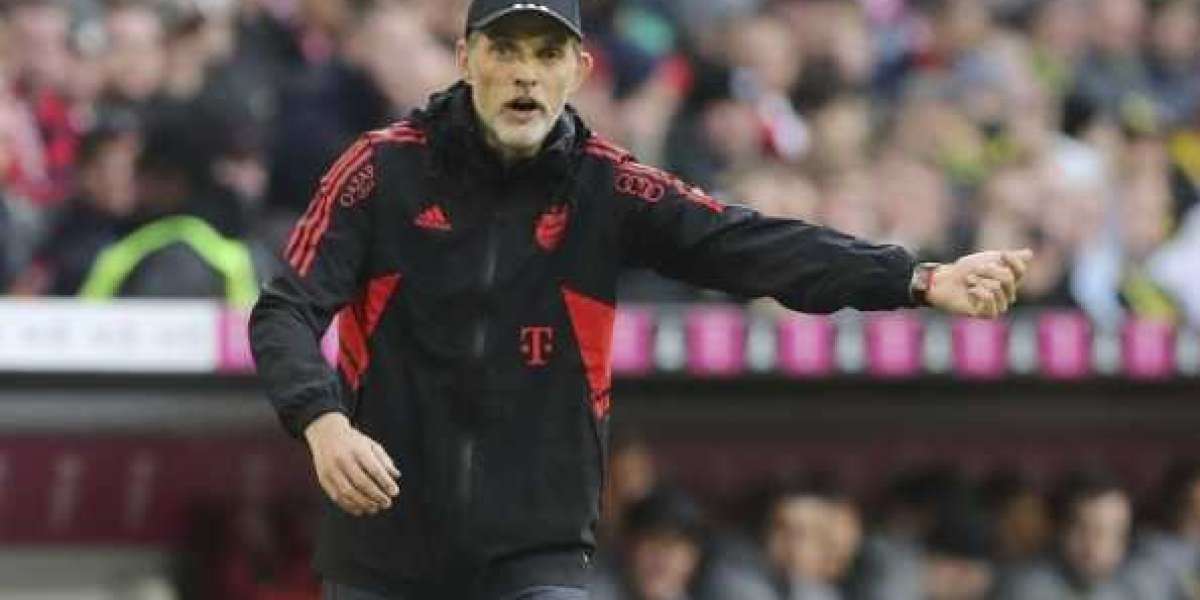 Tuchel: Bayern and Germany should work closely together