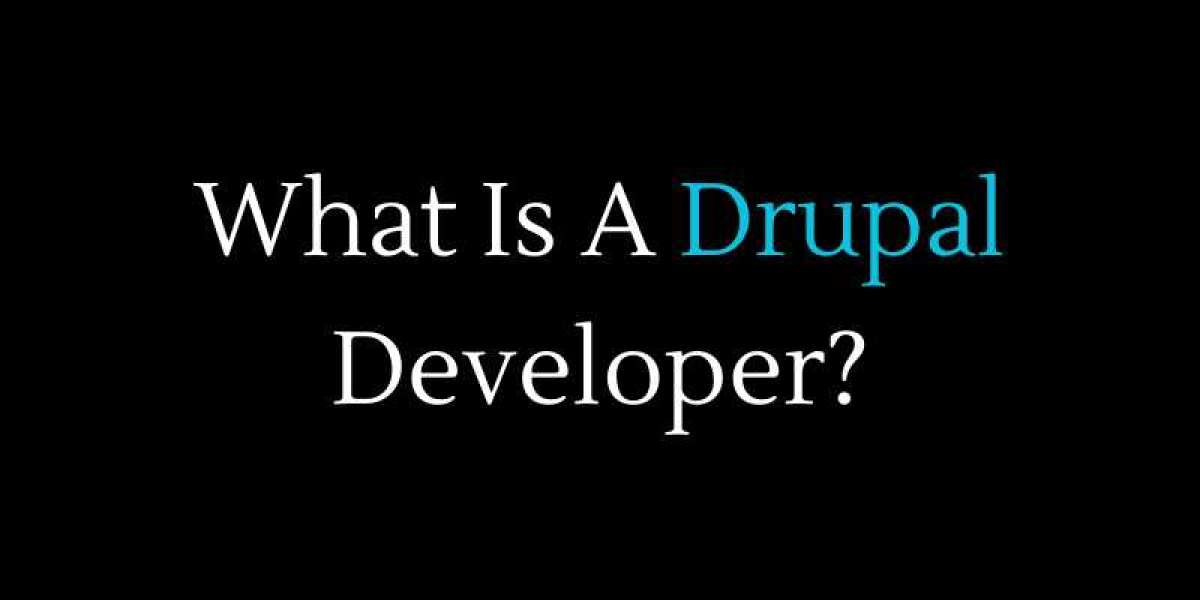 What Is A Drupal Developer?