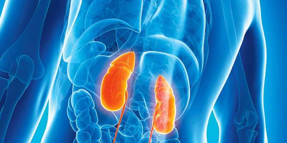 Advanced Technologies Can Inspire the Industry Growth; Says the Renal Disease Market Insights