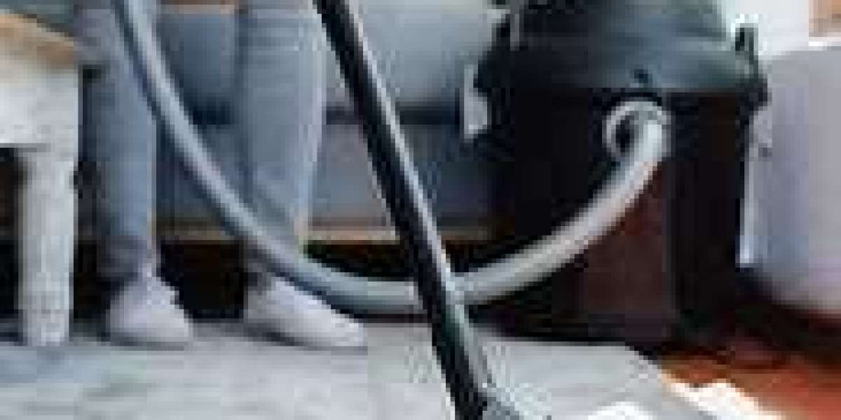 Elevate Your Home with Professional Carpet Cleaning Services