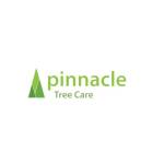 Pinnacle Tree Care Profile Picture