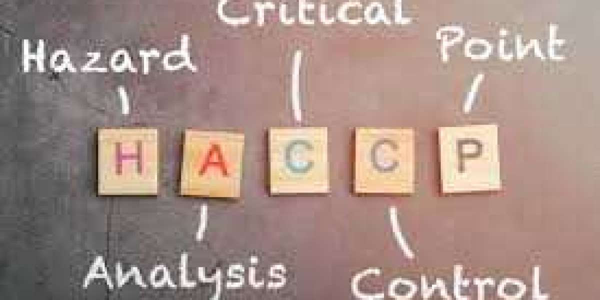 haccp certification in south africa