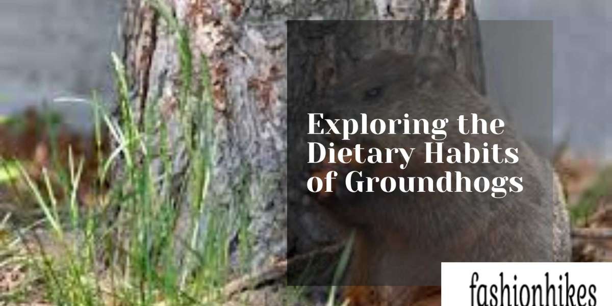 Exploring the Dietary Habits of Groundhogs