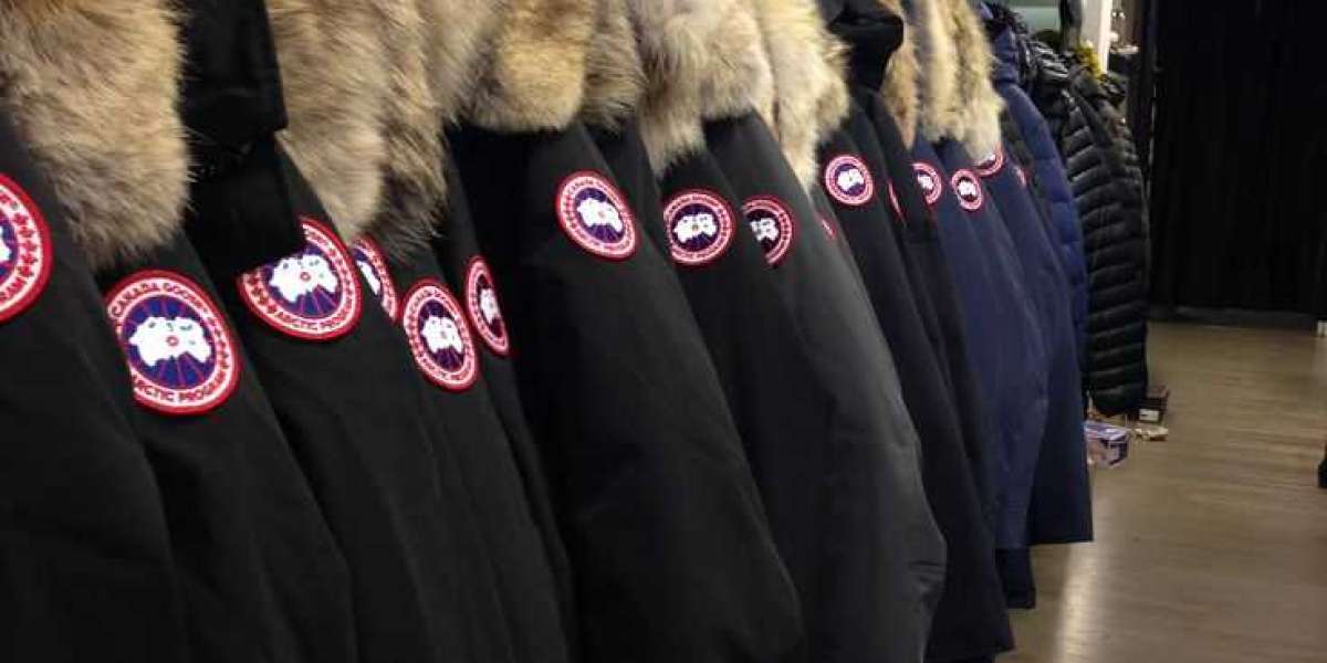 Unveiling the Arctic Luxury: A Comprehensive Exploration of Canada Goose