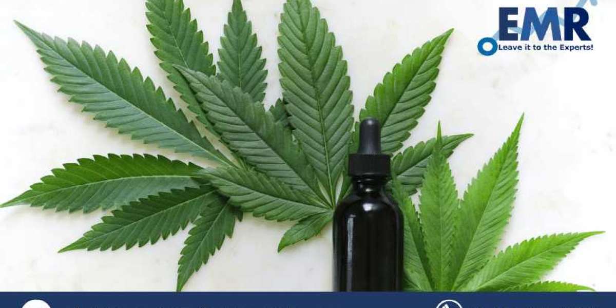 Charting the Green Frontier: Navigating the Evolving Landscape of the United States Medical Cannabis Market