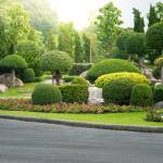 Mauros Landscaping Profile Picture