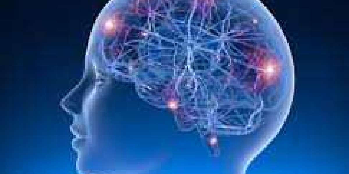 Gabapentin 800mg & 100mg: How It Works to Control Epilepsy