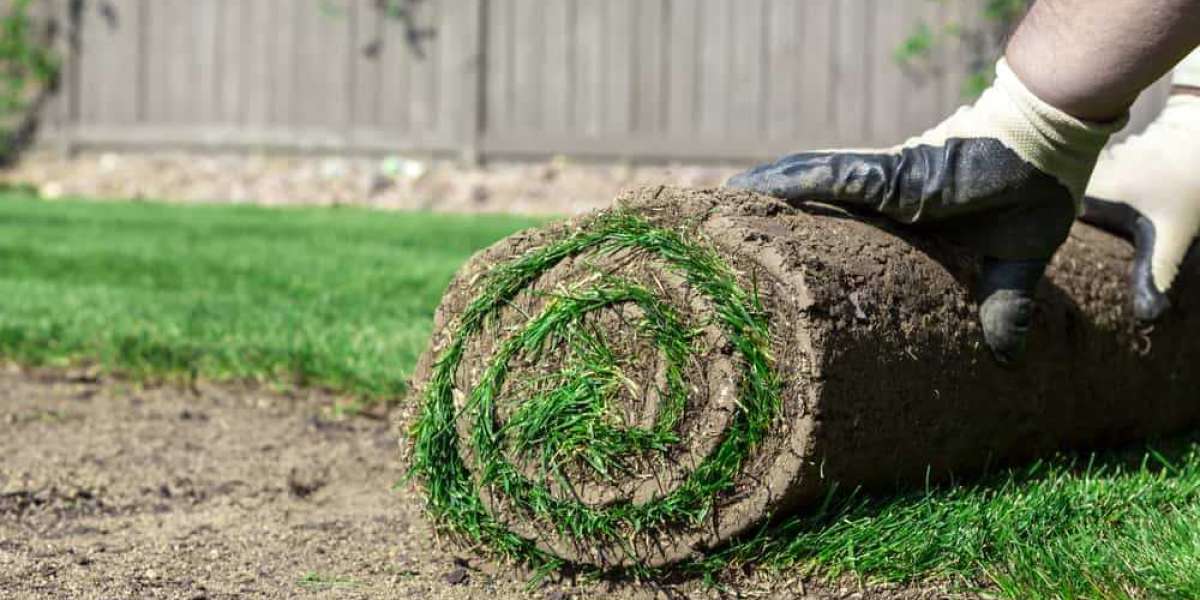 Revamp Your Lawn with Robert's Complete Care | Premier Sod Installation in Los Angeles
