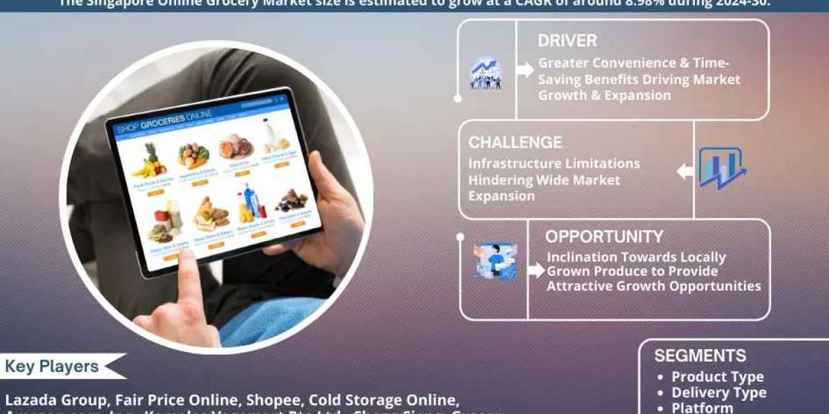 2030, Singapore Online Grocery Market Analysis: Share, Growth, Trends, and Future