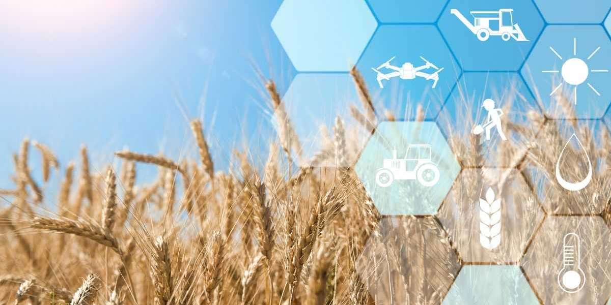 Mexico Precision Agriculture Market: Transforming Farming with Technology and Data
